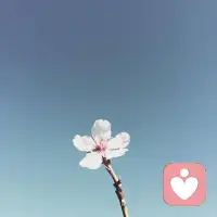 順應現實，勇敢直面，“我很好”的真實內涵，并非我們變得越來越務實，而是我們能更好地接納現實。在這個矛盾重重的世界里，我們無需質疑自己，反而應珍視自己的特質，讓自己熠熠生輝。配圖