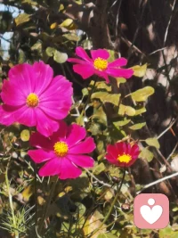 人生抉擇與遺憾，生活中鮮有兩全其美之事，每個選擇都將帶來迥異的結果。當我們勇敢面對抉擇，命運的軌跡也將隨之改變。不必為過去的遺憾而沉痛，它們正是我們成長的見證。配圖