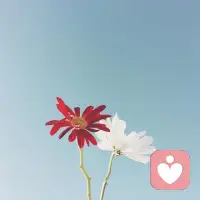 內(nèi)在匱乏的人總想去找另一半， 因?yàn)樗麄冃枰玫綈矍榈淖虧櫍瑏韽浹a(bǔ)匱乏的內(nèi)心，從心理學(xué)上看，這是尋求內(nèi)心回家的感覺，就是渴望完整的狀態(tài)，因?yàn)樗麄冊饺睈墼饺ふ覑郏鴥?nèi)在黑洞式的匱乏，誰也無法滿足，然后強(qiáng)迫對方發(fā)展所需要的品質(zhì)，也注定了關(guān)系上的沖突在所難免 。配圖