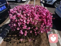 小时候和父亲不亲近的人，长大后容易有这三个特点： 一、 不懂建立社会关系，不擅长合作，也不喜欢竞争，对领导恐惧，对下属心软， 因为父亲在家代表的是外界规则，这样的人缺少自信，总认为自己不如别人，低人一等倾向于讨好型人格。 三、比较容易后悔和自责，总感觉之前一些事没有做好选择，没选对，从心理学上来说，这都是心理缺乏力量的表现。来源于小时候缺乏父亲的肯定与支持， 导致你内心深处不相信自己。配图