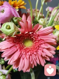 如果你一听到父母说话就很容易情绪不稳定，忍不住暴躁，那么小时候你很可能是一个乖巧懂事的孩子，而你之所以能够如此乖巧懂事，背后可能有一个原因，那就是你过早的被对待为一个成年人，还没有享受到如何被爱，却要像成年人一样去爱别人，包容别人，理解别人，并承担父母在生活中不断注入的各种情绪，比如父母对你过多的要求和期望，会带来焦虑情绪，家里经常发生争吵，也会给你带来负面情绪，这些情绪有时候连大人都难以消化，但作为一个还是小孩的你却被迫接受和忍耐，需要知道的是，并不是每个人都具备强大的心理，那些无法处理的情绪会不断在潜意识中累积，因此在你成年后，也许只是父母的一句唠叨，一句抱怨，就足以让你的情绪爆发。配图