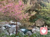 许多对生活不如意的人，往往藏着一个儿童心智典型表现，就是急躁，悲观和消沉，缺乏过程思维和耕耘思维，更没有长期主义的眼界。他们的外在看起来很焦虑，实则内心空洞，麻木，缺乏感知。只有在感受焦虑，无助和恐惧这类人才会有所察觉。他们通常表现出习得性无助的惰性，其根源在于童年时期缺乏足够的关注和包容。我们之所以懒，不思进取，是因为内心深处的无力感，认为即使努力，也无济于事。实质上是对自身能力的否定，这源自原生家庭的负面影响。然而，这类人一旦觉醒，明确自己的人生目标，他们的成长速度将会非常惊人，洞察力和共情力也会比大部分人优秀许多。配图