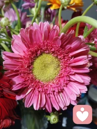 频繁地梦见一个人，在心理学上被称为感情创伤后遗症，这并不是因为对方在想你，而是你无法在现实生活中释怀对方给你带来的伤害，在某种程度上，这表明你的潜意识和肉体都感受到了如海般汹涌的思念，因此你会一次又一次地梦见他，然而这样的代价是每次梦见他，你对他的思念就会减弱一分，直至最后忘记他的样子，就像新陈代谢一样。配图