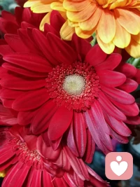 如果你和一个人在一起，情绪从开始的稳定变得越来越不稳定，从心理学上分析，这个人一定有问题，你们这段关系也肯定存在问题，你的情绪之所以会不稳定，大概率是你们在一起的时候，对方做出的一些事情触发了你的不安全感，如果你和对方在一起，感觉越来越不舒服，那你就需要想一想，具体是对方的那件事，哪一个行为让你感受到了不安全，然后再去判断对方这个行为，他背后的心理动机究竟是什么，这种情况得到的答案，比如对方到底爱不爱你，是不是尊重你，就是比较准确的，因为行为背后的动机是骗不了人的。配图