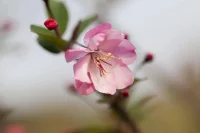 真正的愛自己是四個字慈悲喜舍，慈是慈愛，充滿耐心和愛心對待自己，悲是悲憫，理解和心疼自己，喜是欣喜，看見并肯定自己的進步，舍是舍得，舍得讓自己受苦，獨立承擔生命的責任。配圖