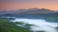 缺愛的人，對(duì)于愛情通常都是來(lái)者不拒，只要有人表達(dá)愛意，他們就容易深陷其中，但實(shí)際上，他們很多時(shí)候并不真正喜歡對(duì)方，而是在享受被愛的感覺，他們付出自己是為了得到對(duì)方愛的回饋，努力取悅對(duì)方是為了尋求愛，然而他們又時(shí)常擔(dān)憂失去對(duì)方的關(guān)愛，這種愛更多是為了彌補(bǔ)內(nèi)心的缺失，由于童年時(shí)期對(duì)愛的渴望未能得到滿足，當(dāng)他們終于有機(jī)會(huì)得到愛情時(shí)，他們會(huì)全力以赴的去爭(zhēng)取，因此他們很容易受到誘惑，甚至明知道對(duì)方并不適合，卻仍無(wú)法割舍。這種童年時(shí)期的匱乏持續(xù)影響著他們的愛情觀。配圖