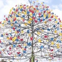 【造成心理認(rèn)知錯(cuò)誤的6大現(xiàn)象】1、走極端：非此即彼，不是白就是黑。2、變色鏡：有的人遇事總想消極的一面，總像戴著變色鏡看問題。3、公式化：認(rèn)為不幸的事情會(huì)重復(fù)出現(xiàn)。4、疑心病：喜歡無事生非。5、謬推斷：把一般性過失、欠缺、挫折和困難看得過于嚴(yán)重。6、失銳氣：喜歡自怨自艾。配圖