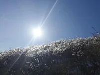 最好的陪伴是情緒的陪伴 。常常我們覺得在一起就是陪伴 ，其實陪伴的前提是參與，沒有參與就沒有陪伴 。陪伴并不僅僅是幫你解決問題 ，因為在解決問題之前是要經歷一段情緒發酵的過程 ，然后自己才升起解決問題的意愿 ，所以遵從對方的意愿就是最好的陪伴 。陪伴不僅僅是交流和玩耍 ，我是強行把對方從不舒服的世界拉出來到一個舒服的世界 ，并不是問題 不去想就不存在了 。最好的陪伴是我可以陪你在情緒里待會兒的那個人 ，我不去改變你 ，只是陪你 ，僅此而已 ，允許你情緒的表達與流動 。配圖