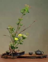 我們常常站在現在的視角指責過去的自己，總認為我當時做的選擇太錯誤了，導致現在過不好，會覺得我那時怎么那么笨，對過去的自己充滿羞恥，永遠不要站在現在的立場去批評過去的自己，你的成長是基于過去的經歷，而你去否定自己的過去，就無法去享受到成長的喜悅，反而掩蓋過去，成為構成接下去一種負擔，構成了你內在一種更深的矛盾，要知道你現在的高度是為了更好的理解和接納過去的自己，而不是為了批評一切。配圖