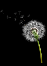 討好型人格的蛻變 ？
第一、 重建 新的認知正確的認識自己和周圍的人 。第二、 建立與人相處的邊界 ，學會說不 。第三 、不斷學習 勇于嘗試 。|配圖
