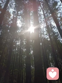 見自己，明歸途，所以豁達；
見天地，知敬畏，所以謙卑；
見眾生，懂憐憫，所以寬容。配圖