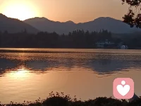 单纯是生命最原始的本质，亦很高的心灵境界，舍弃繁杂和无用的琐碎，直达本质核心的单纯，就是生命的返璞归真。 人生有得有失，固然不完美，强求终究无用。不妨把头抬起来，把心放下去，在单纯中丰盈自我充实人生。 单纯是心中的一方净土，是纯粹自然的美好境界，不附件任何外部条件，内心坦然纯澈如水的简单，就是摘下面具和伪装，祛除世俗的杂质，恢复本心本性的纯真。配图