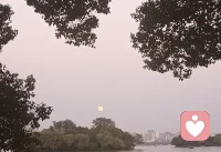 真自體比較孤獨 但是閃閃發光 這是本真的部分；
真我即時有過創傷 也要努力自我療愈；
假自體 比較囂張而受束縛 這是社會面具的需要；
假我茫然到分不清楚什么是真正的需要了。配圖