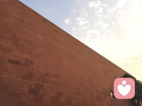 因為夢它是一個全息的，可以說是一個多維的，它在很多的這個表現，對意識而言非常奇怪，但是它有在后臺運行的某些規律。
 
這個奇怪完全是由于意識只習慣于線性思維造成的，從這個角度來說，我們夢工作很重要的一個點，就是可以補充補償意識，不但是在這個信息的層面去補償，更重要的可能在整個的運作方式，對信息的處理方式都可以進行某些補償，相當于升級。配圖