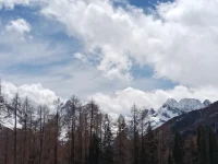 要是你正在努力克服困難，我想對你說：你已經(jīng)做得很好了。 繼續(xù)前行，每一步都離目標(biāo)更近。配圖