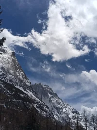 傾訴就是釋放自己，療愈自己……。傾訴就是幫助我們從能量低到高的過程，我們可能在生活中的某一環節卡住了，一直壓抑，時間久了，能量就會特別低，傾訴出來就是幫我們清除掉這些卡點。配圖
