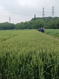 彼時的小小樹苗，如今已長成合圍的大樹，桓溫也從少年來到了壯年，時間的刻度里，每一個生命都往前走著，從未停歇，于是我們會看到，世事有榮有衰，有變幻有無常。但也正因如此，我們當下的每一刻，都是唯一的，也是無比珍貴的。配圖