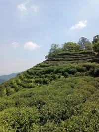 心理咨询的目的，不是使人进入到一种不可得的幸福状态，而是帮助他们树立一种面对困难时，哲学式的耐心与坚定。配图