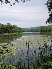 當(dāng)你感到迷失和困惑時，記得，每個迷宮都有出口。 相信自己的直覺，你會找到前行的道路。配圖