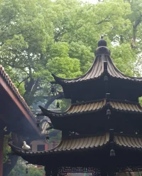接納和迎接變化， 或許你也會成為變化的一部分， 也不懼怕變化了。配圖