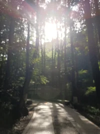 生命明明是一場不可理喻的積極。配圖