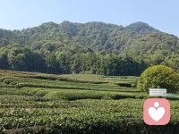 如何辨別情感 PUA 


情感 PUA 通常指的是利用心理操控技巧來獲得和維持情感控制的一種行為。
識(shí)別情感 PUA 很重要，以下幾種常見跡象：
1、貶低與否定：經(jīng)常批評(píng)你的外貌、能力或其他方面。
2、控制欲強(qiáng)：想要掌控你的生活，包括日常決策和個(gè)人選擇。
3、制造依賴：讓你覺得離開他就會(huì)失去一切。
4、周期性循環(huán)：在一段關(guān)系中反復(fù)出現(xiàn)理想化﹣貶低﹣重建信任的循環(huán)。
5、雙重標(biāo)準(zhǔn)：對(duì)待你和他采用不同的標(biāo)準(zhǔn)，常常為自己找借口。配圖