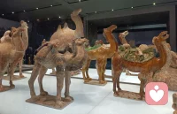 機會是給有準備的人 厚積薄發。配圖