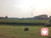 在不動(dòng)中尋靜容易，在動(dòng)中尋靜難，但只有動(dòng)中之靜才是真正的靜。配圖