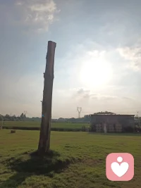 你的勇氣和堅韌是靈魂的燈塔，照亮了前方的道路。?? 記住，你不是孤單一人。配圖