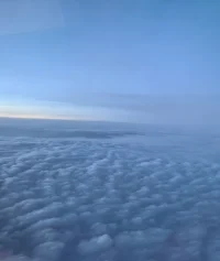 安全感的缺失