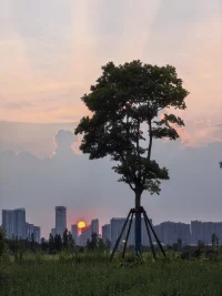 梦是启迪，梦给我们展示的是未加修饰的自然真理，梦是无意识心灵的产物，是人的潜意识在努力使整个心灵更趋于和谐合理。