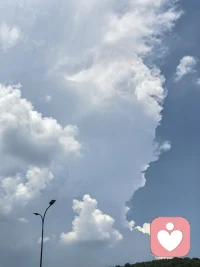 家庭是一个系统 人和人总是互相影响的 而且根深蒂固，家庭这个系统特别坚固 影响来访者至深，可以追溯到三代甚至四代，情感和创伤在无形地传递。

如果单独的去看来访者的症状 会觉得有点奇怪，但是放到家庭系统中，对症状的理解往往一目了然。内心情感情结和认知行为模式都是在家庭中潜移默化形成的。

家庭这个系统太坚实，有时候去撬动它是不容易的，咨询师要足够的稳定和涵容，前期要先建立和来访者的良好关系，逐渐地帮助她们去看到背后的系统对她们的作用，改变的确有个过程，需要循序渐进。