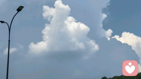 从家庭系统的角度来理解来访者的症状