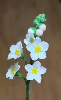 經常有人說，雖然他深深地傷害了我，但是，我還是放不下對他的感情。

這就是情關難過，執著于此，困在了迷霧之中。

其實，所謂情關，不是你執著于愛他，而是執著于被他愛。放不下曾經的那些軟語溫存，誓言錚錚。

關系的失去，會讓你覺得自己失去了價值，天塌了。其實是因為，你的價值就是在被愛中建立起來的。

你執著的不是愛，而是欲望和渴求，是掌控和抓取；
而愛，是給予，慈悲和奉獻，無論對方如何，你自豐盈自在，他失去你，是他的巨大損失。配圖