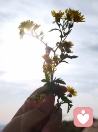 《只要有一个女人》

     ——南希·史密斯 1973年作

只要有一个女人，觉得自己坚强因而讨厌柔弱的伪装
定有一个男人意识到，自己也有脆弱的地方，因而不愿意再伪装坚强

只要有一个女人，讨厌再扮演幼稚无知的小姑娘
定有一个男人想摆脱“无所不晓”的高期望

只要有一个女人讨厌“情绪化女人”的定型
定有一个男人可以自由地哭泣和表现柔情

只要有一个女人觉得自己为儿女所累
定有一个男人没有享受为人之父的全部滋味

只要有一个女人得不到有意义的工作和平等的薪金
定有一个男人不得不担起对另一个人的全部责任

只要有一个女人想弄懂汽车的构造而得不到帮助
定有一个男人想享受烹饪得乐趣却得不到满足

只要有一个女人向自身的解放迈进一步
定有一个男人发现自己也更接近自由之路配图