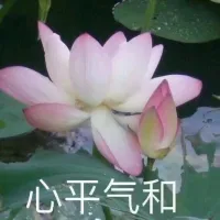為什么現(xiàn)在很多的年輕人不斷的跳槽。夫妻之間經(jīng)常的爭吵，打架。親子之間爭吵，甚至掐住對方的脖子。很多時候是自戀型暴怒的結(jié)果。因為他的強(qiáng)烈的憤怒情緒從來沒有被一個人看到過。陪伴過，包容過，把一份挫折形成一種體驗幫助他更好的生活。配圖