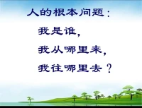 咨詢師的工作是根據(jù)來訪者的自我功能水平來決定如何對(duì)待來訪。比如今天一個(gè)自我功能水平高的來訪，當(dāng)他問我他的一個(gè)困惑的時(shí)候，我直接給了他一個(gè)解釋。另外一個(gè)來訪，我會(huì)陪著他，讓他看到她的問題的本質(zhì)。而另外一個(gè)來訪，我會(huì)讓他看到創(chuàng)傷對(duì)他的影響，以及他內(nèi)在積極的品質(zhì)。每一個(gè)來訪都是獨(dú)一無二的個(gè)體，我會(huì)根據(jù)他的問題和自我功能水平采取不同的對(duì)待和處理方式。配圖