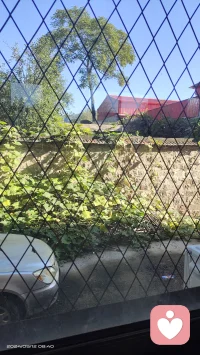 如果孩子沒有在父母那里得到愛，就會變成一個特別孝順的孩子去孝順父母，成人后，反過來，又要對父母產(chǎn)生敵對和憤怒。配圖