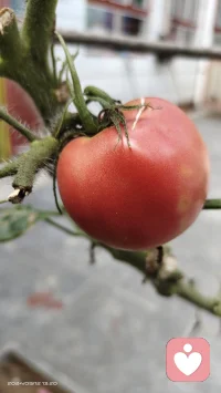 ??信念很重要??
【每天念一遍凈化心靈改變磁場好運常伴】
1、凡事發生皆有利于我
2、我很純凈，我將越來越純凈
3、我很健康，我很富足，我是圓滿喜悅的
4、我是最好的，我有資格擁有所有美好的
5、我愿意給予這個世界和身邊的人更多善意
6、失去的東西，一定會以另外的方式回到我身邊。
7、我時刻覺察我的心，帶著感恩注入滿滿的正能量。
8、我是一個行動派，想到什么就會立刻去做，做了再說。
9、我每天都在成長，每天都有好事發生。
10、今天是美好的一天，我全力以赴，一定能達成所愿。????配圖