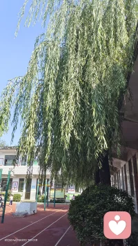 什么是靈魂伴侶？
靈魂伴侶是一種“愛你而不為難你，懂你而不傷害你”的感覺；
靈魂伴侶是一種“愛你而不向你索取，你累他心疼，你哭他安慰”的感覺；
靈魂伴侶是一種“疼你但不黏你，想你但不糾纏你，喜歡的是你的人，在乎的是你的心”的感覺。
靈魂伴侶，像家人一樣陪伴，像朋友一樣談心，沒有欺騙，沒有隱瞞，沒有心機，沒有顧慮。我懂你的言外之意，你懂我的欲言欲止。
如果遇到這樣的人，那就早點結婚吧。配圖