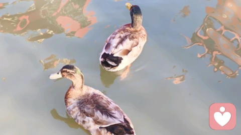 你的思維正在塑造你的人生