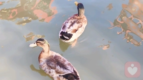 你的思维正在塑造你的人生