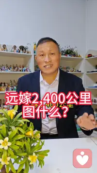 远嫁2400公里图什么？