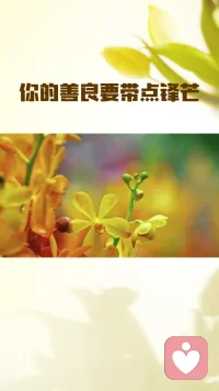 你的善良要自带锋芒