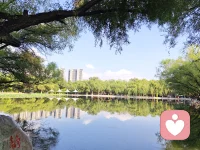如何分辨靠谱心理咨询

你是不是也彻底迷茫过：连顶级心理学大师的孩子，最后都走不出心理困境？
那普通人做心理咨询，到底有用吗？是不是全是安慰、全是鸡汤、纯属浪费钱？
相信很多人心里都藏着这个疑问。情绪崩溃、夜里失眠、婚姻压抑、内心拧巴，明明痛苦难熬，却不敢轻易做咨询，生怕遇到假老师、被敷衍开导、越聊越内耗。今天就一次性讲通透，到底什么样的心理咨询，才是真靠谱、真有用。荣格曾说：当潜意识被呈现，你的命运就被改写了。很多长久无解的烦恼，根源都藏在自己不曾察觉的潜意识之中。
最近心理圈刷屏的事件，让无数人质疑心理咨询：心理学泰斗欧文·亚隆的儿子，长期受心理疾病折磨，最终选择离世。很多人瞬间否定整个行业：大师都救不了自己家人，普通人做咨询有什么意义？
其实大家完全误解了真相，这不仅不是心理咨询的失败，反而恰恰印证了心理疗愈的底层逻辑。
首先，至亲之间，永远做不了有效咨询。心理咨询起效的核心，是中立、客观、无羁绊的专业关系。面对孩子，咨询师首先是亲人，带着偏爱、心疼、执念，根本做不到绝对中立。孩子面对父母，也永远卸不下防备、听不进专业引导。行业铁规：亲人挚友绝不互做咨询，必须转接他人，这是任何人都突破不了的伦理边界。
其次，医者难自医，大师也有心结。弗洛伊德、荣格等所有心理学大家，自身一生都在和内心创伤、情绪情结对抗。正是亲身熬过极致痛苦，才更懂普通人的煎熬，才能帮助无数人脱困。亚隆的孩子常年对抗心理顽疾，能安稳活到66岁，本身就是心理干预的成果。不然很多深陷重度心理痛苦的人，可能早就撑不住了。心理咨询从来不是让人一辈子不痛苦，而是帮你扛住痛苦、稳住心态、慢慢自愈成长。正如弗兰克尔所言：痛苦无法规避，但苦难之中我们永远拥有选择心态的自由。
看懂了真相，再教大家普通人最实用、能直接落地的靠谱心理咨询4个黄金标准，不符合的，一律是闲聊、不算咨询。
第一，真正的咨询，绝不一问一答给答案。
但凡你问一句、老师答一句，直接教你怎么做、怎么选、怎么忍，全是低端答疑。正规心理咨询，从不替你做决定、不给标准答案。而是用专业技术，带你看见潜意识心结、看清问题根源，让你自己想通、自己成长。咨询的终极目的，是育人成长，不是答疑解惑。
第二，真咨询，一定有专业理论支撑。
精神分析、认知行为、人本、萨提亚、格式塔，每一次沟通都有流派框架、有技术逻辑。不靠个人经验、不靠鸡汤安慰，没有理论支撑的