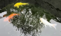 紀(jì)念一下第一次接國外業(yè)務(wù)配圖