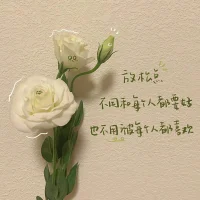 做你自己配圖