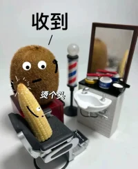 万物皆可爱，开心就对了配图