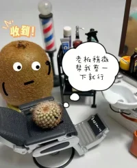 万物皆可爱，开心就对了配图