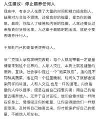 不要喂養(yǎng)任何人配圖